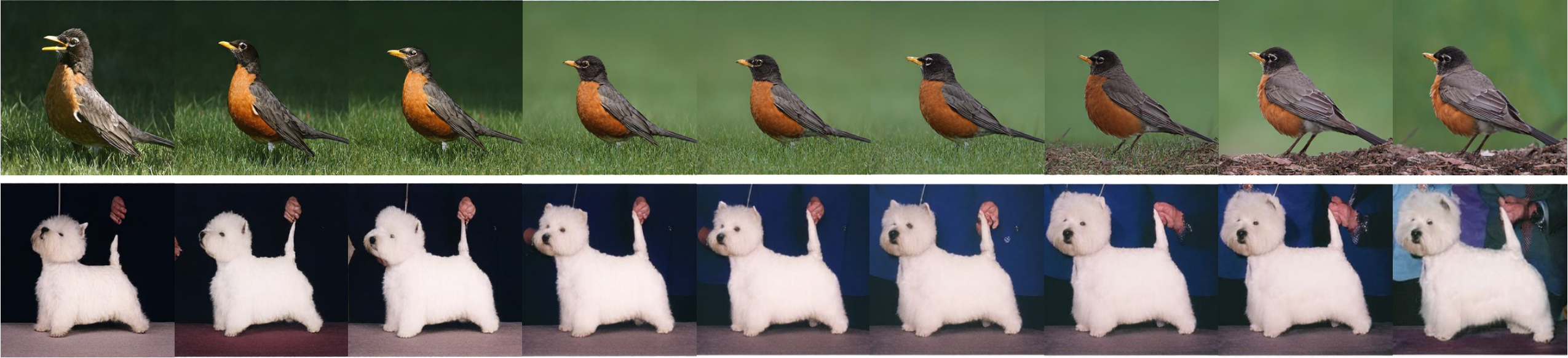 Latent Interpolation