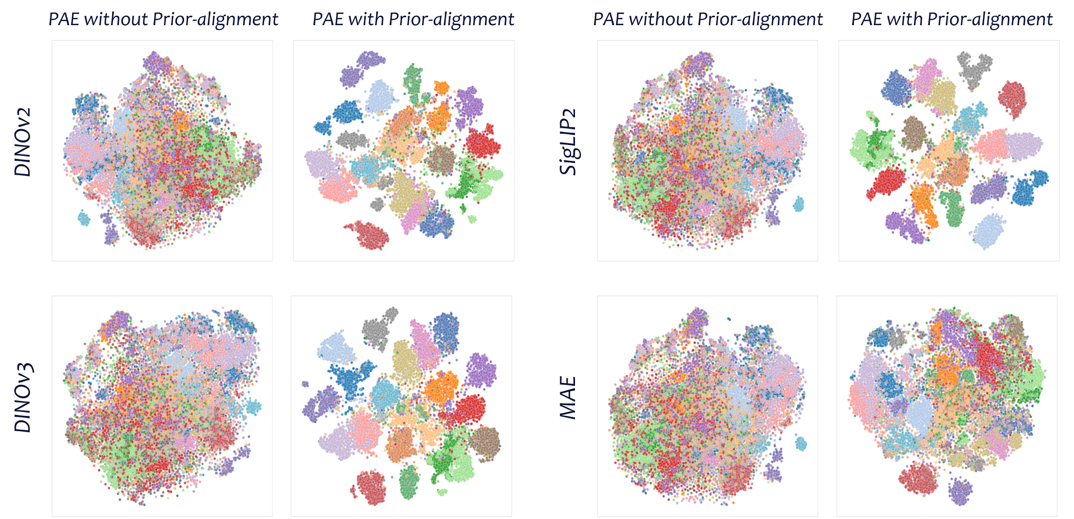 t-SNE Visualization
