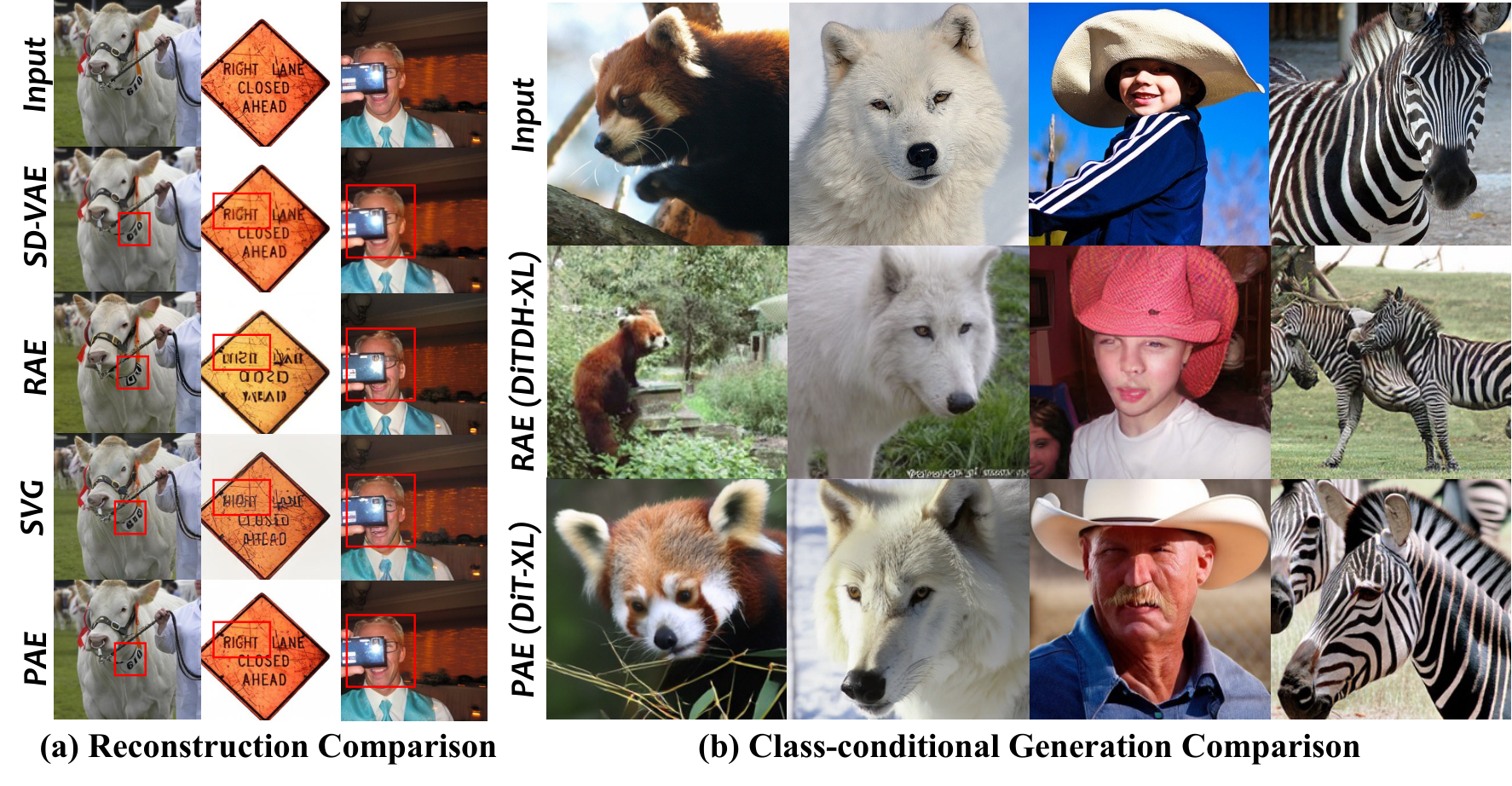 Qualitative Comparison